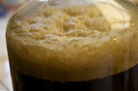 tudor come fermentare la birra artigianale in bottiglia|La fermentazione della birra artigianale .